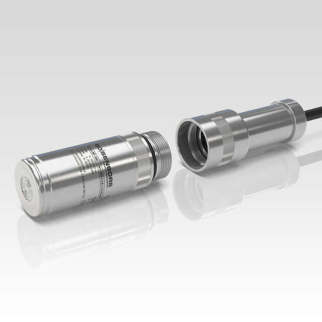 Detachable level probe LMP 308